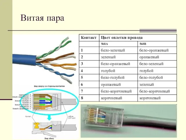 Витая пара