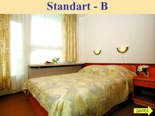 Standart - B