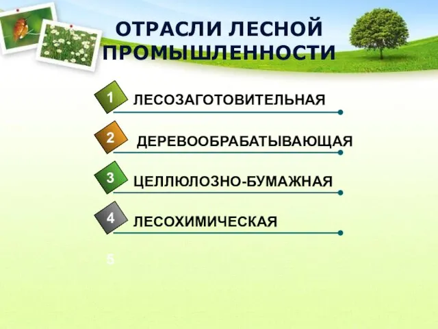 ОТРАСЛИ ЛЕСНОЙ ПРОМЫШЛЕННОСТИ 4 ЛЕСОЗАГОТОВИТЕЛЬНАЯ 1 2 3 5 ДЕРЕВООБРАБАТЫВАЮЩАЯ ЦЕЛЛЮЛОЗНО-БУМАЖНАЯ ЛЕСОХИМИЧЕСКАЯ