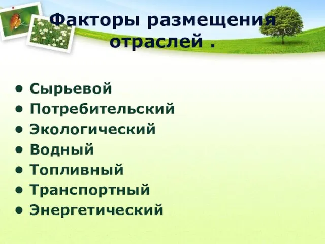 Факторы размещения отраслей . Сырьевой Потребительский Экологический Водный Топливный Транспортный Энергетический