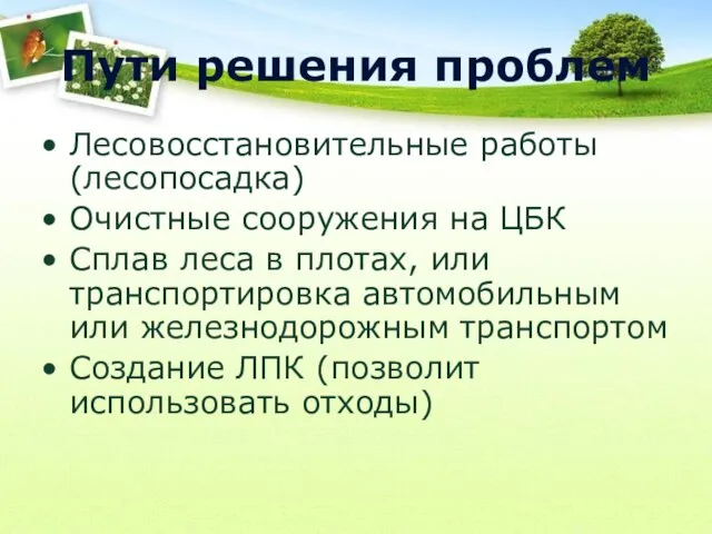 Пути решения проблем Лесовосстановительные работы (лесопосадка) Очистные сооружения на ЦБК Сплав леса