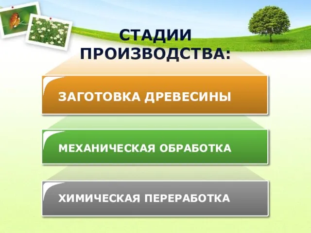 СТАДИИ ПРОИЗВОДСТВА: ЗАГОТОВКА ДРЕВЕСИНЫ МЕХАНИЧЕСКАЯ ОБРАБОТКА ХИМИЧЕСКАЯ ПЕРЕРАБОТКА