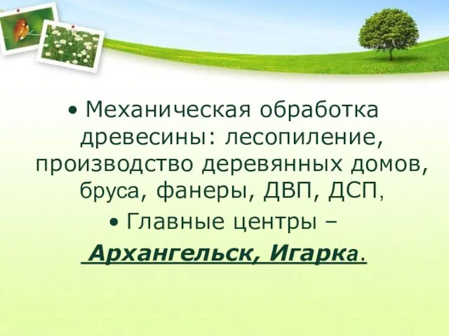 Механическая обработка древесины: лесопиление, производство деревянных домов, бруса, фанеры, ДВП, ДСП, Главные центры – Архангельск, Игарка.