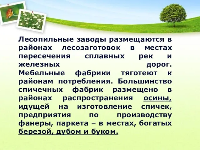 Лесопильные заводы размещаются в районах лесозаготовок в местах пересечения сплавных рек и