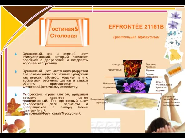 Гостиная& Столовая Оранжевый, как и желтый, цвет стимулирующий, который помогает бороться с