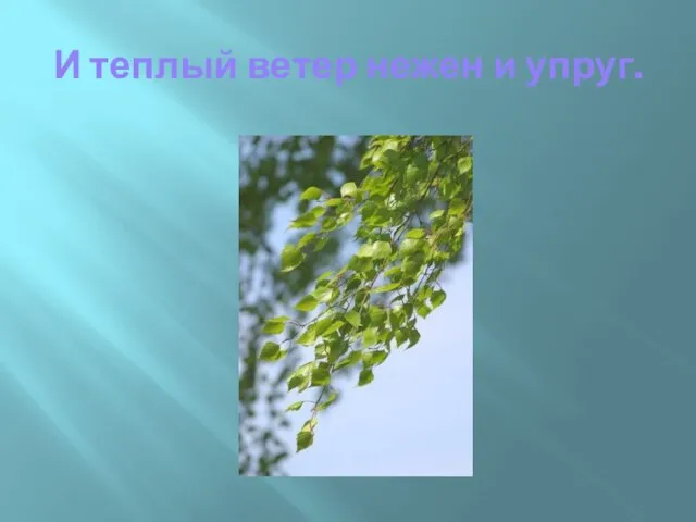 И теплый ветер нежен и упруг.