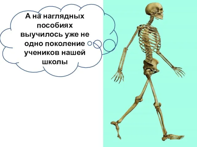 А на наглядных пособиях выучилось уже не одно поколение учеников нашей школы