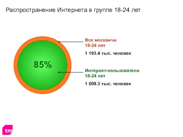 Распространение Интернета в группе 18-24 лет Интернет-пользователи 18-24 лет 1 009.3 тыс.