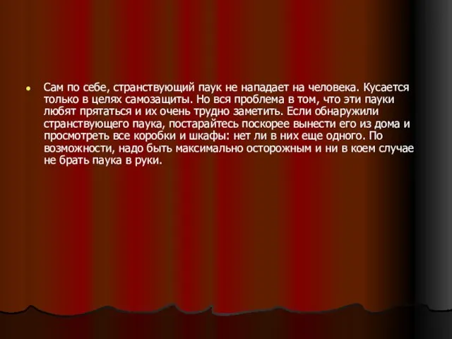 Сам по себе, странствующий паук не нападает на человека. Кусается только в