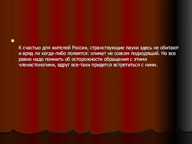 К счастью для жителей России, странствующие пауки здесь не обитают и вряд