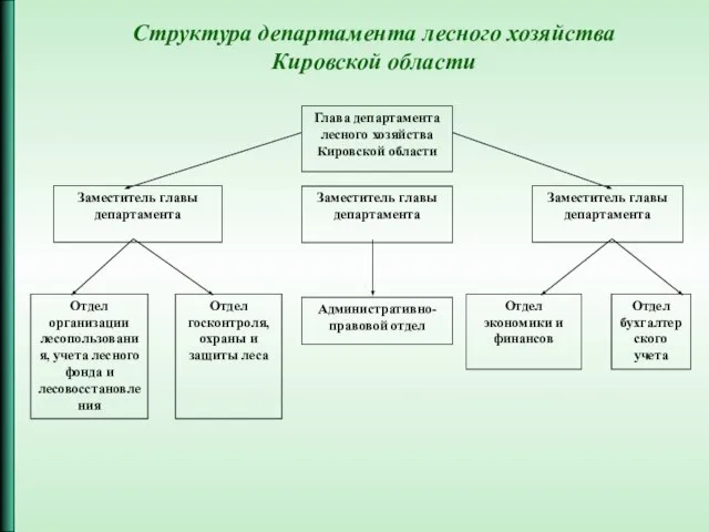 Глава департамента лесного хозяйства Кировской области Заместитель главы департамента Административно-правовой отдел Заместитель