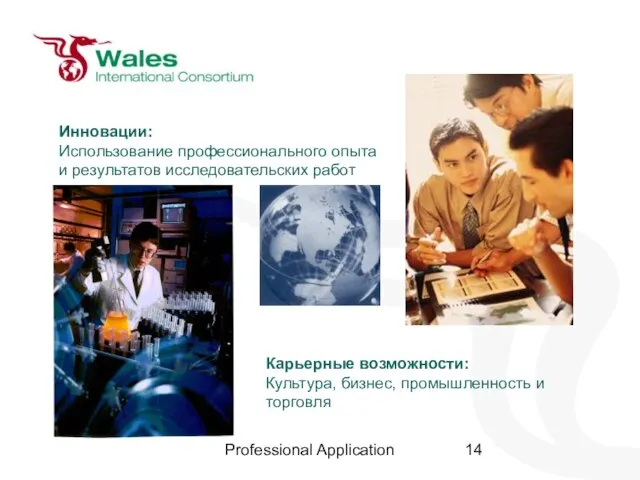 Professional Application Инновации: Использование профессионального опыта и результатов исследовательских работ Карьерные возможности: