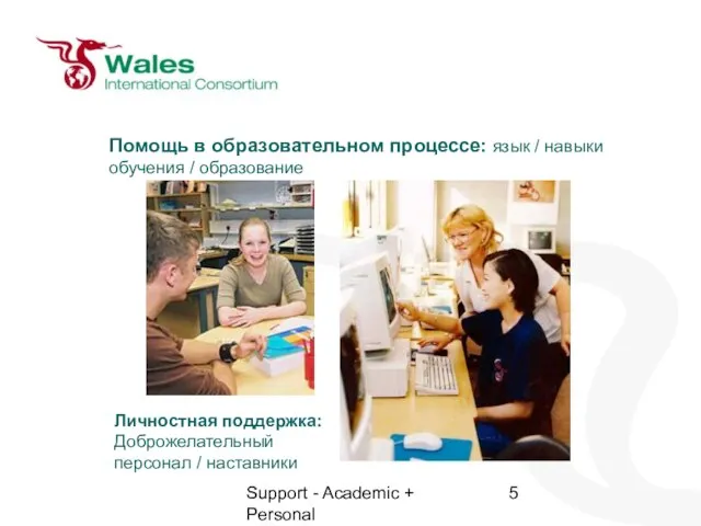 Support - Academic + Personal Помощь в образовательном процессе: язык / навыки
