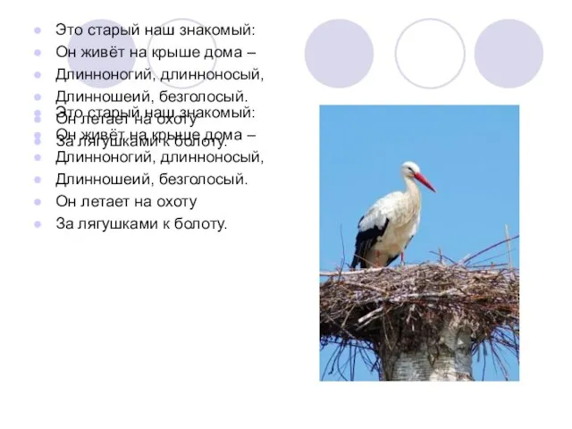 Это старый наш знакомый: Он живёт на крыше дома – Длинноногий, длинноносый,