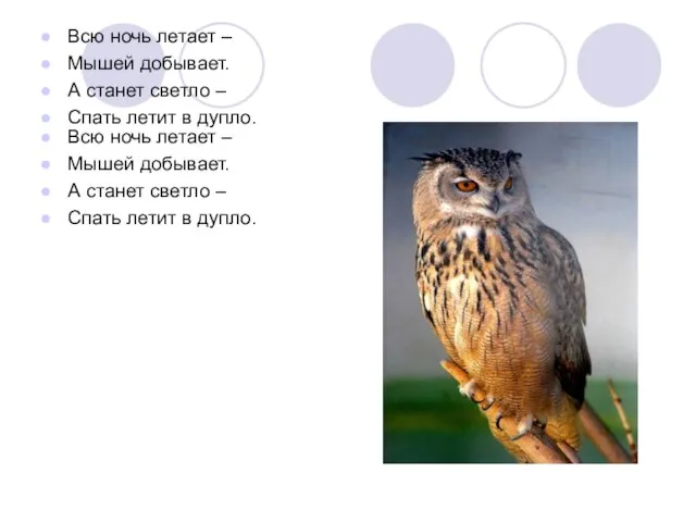 Всю ночь летает – Мышей добывает. А станет светло – Спать летит