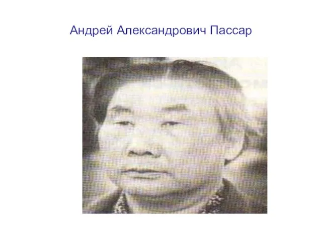 Андрей Александрович Пассар