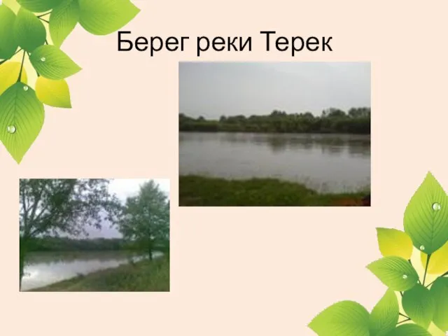 Берег реки Терек