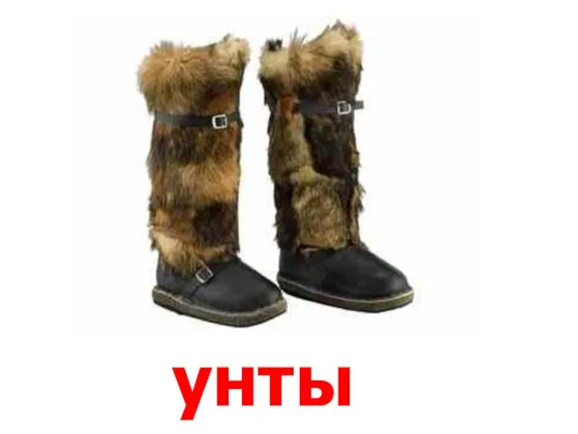 унты Унты.