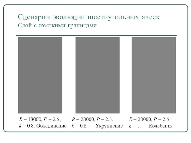 Сценарии эволюции шестиугольных ячеек Слой с жесткими границами