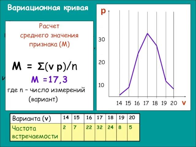 Вариационная кривая – графическое выражение изменчивости признака, отражающее размах вариации и частоту