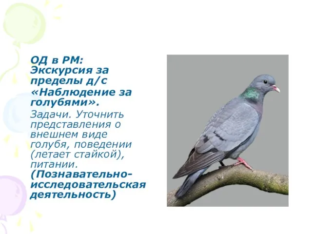 ОД в РМ: Экскурсия за пределы д/с «Наблюдение за голубями». Задачи. Уточнить