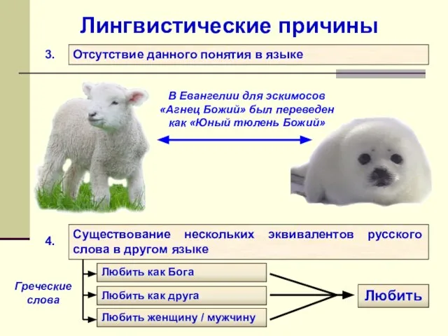 Лингвистические причины Отсутствие данного понятия в языке 3. Существование нескольких эквивалентов русского