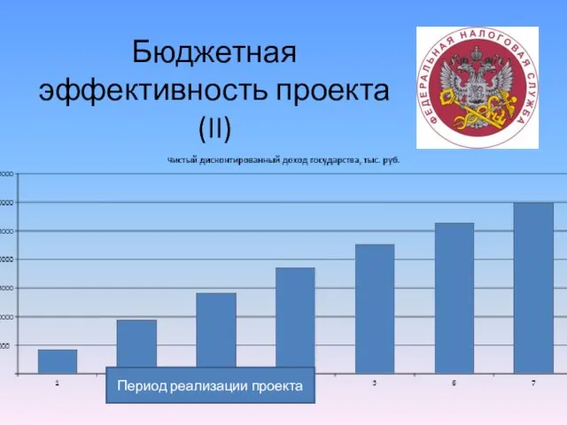 Бюджетная эффективность проекта (II) Период реализации проекта