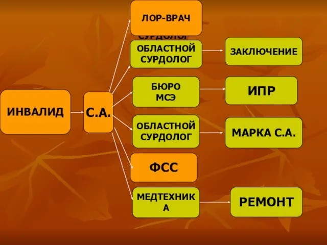 ОБЛАСТНОЙ СУРДОЛОГ