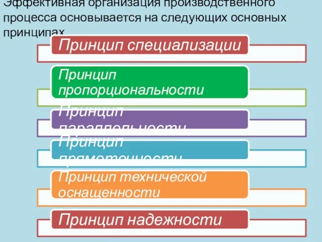 Эффективная организация производственного процесса основывается на следующих основных принципах.