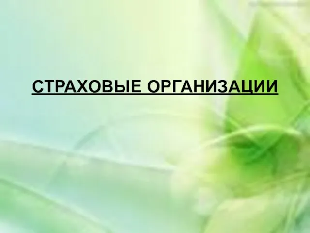 СТРАХОВЫЕ ОРГАНИЗАЦИИ