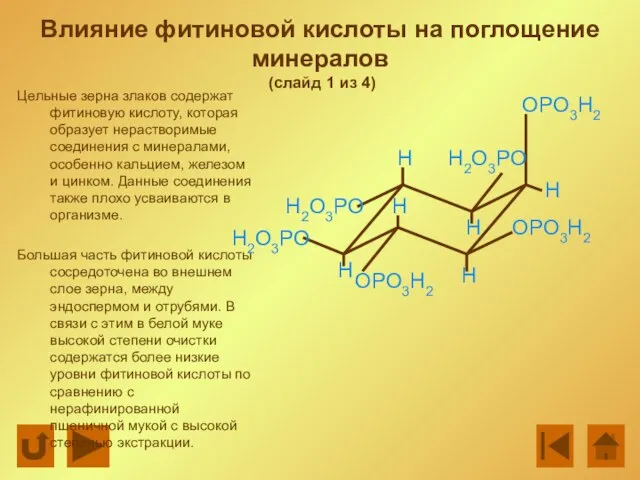 Влияние фитиновой кислоты на поглощение минералов (слайд 1 из 4) Цельные зерна