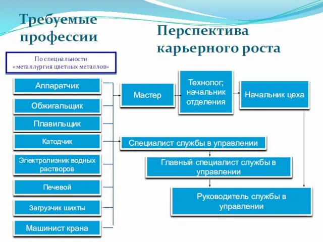 Требуемые профессии Аппаратчик Машинист крана Плавильщик Электролизник водных растворов Мастер Начальник цеха