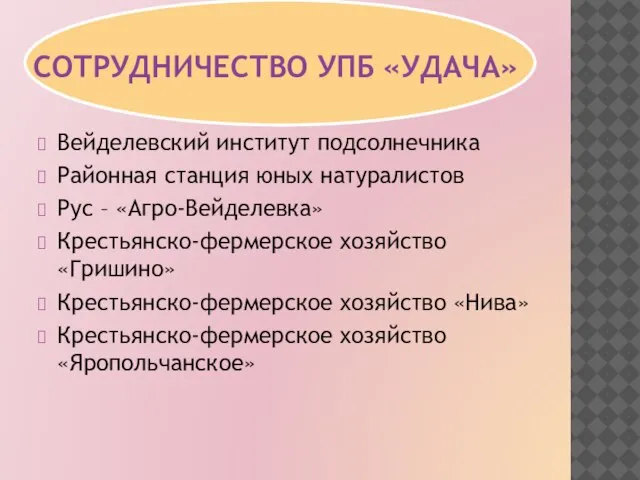 СОТРУДНИЧЕСТВО УПБ «УДАЧА» Вейделевский институт подсолнечника Районная станция юных натуралистов Рус –