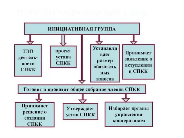 ПОРЯДОК ОБРАЗОВАНИЯ СПКК ИНИЦИАТИВНАЯ ГРУППА ТЭО деятель-ности СПКК проект устава СПКК Устанавливает