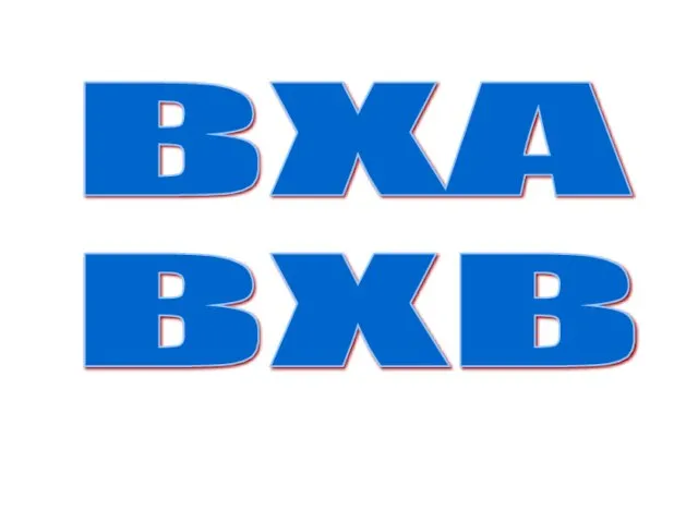 BXA BXB