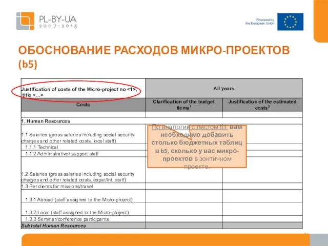 ОБОСНОВАНИЕ РАСХОДОВ МИКРО-ПРОЕКТОВ (b5) По аналогии с листом b3 вам необходимо добавить