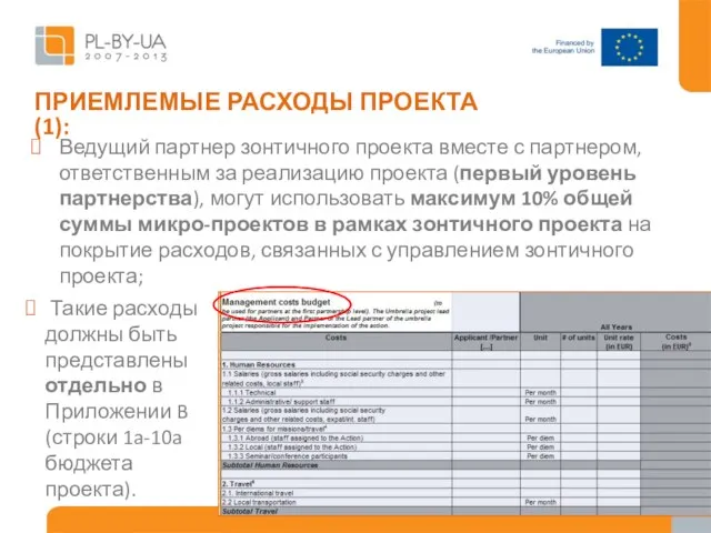 Ведущий партнер зонтичного проекта вместе с партнером, ответственным за реализацию проекта (первый