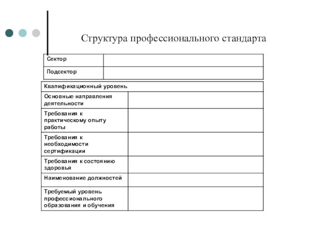 Структура профессионального стандарта