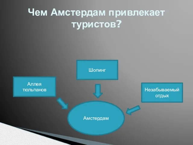 Чем Амстердам привлекает туристов? Амстердам Аллея тюльпанов Шопинг Незабываемый отдых