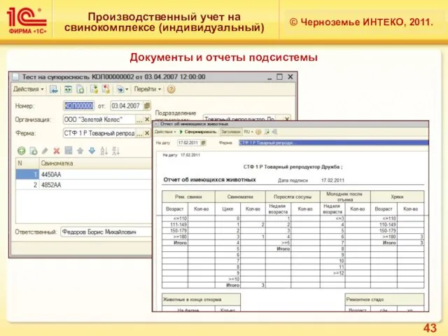 Производственный учет на свинокомплексе (индивидуальный) © Черноземье ИНТЕКО, 2011. Документы и отчеты подсистемы