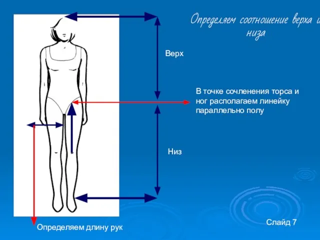 Слайд 7 В точке сочленения торса и ног располагаем линейку параллельно полу