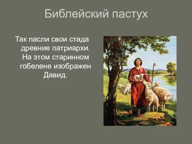 Библейский пастух Так пасли свои стада древние патриархи. На этом старинном гобелене изображен Давид.