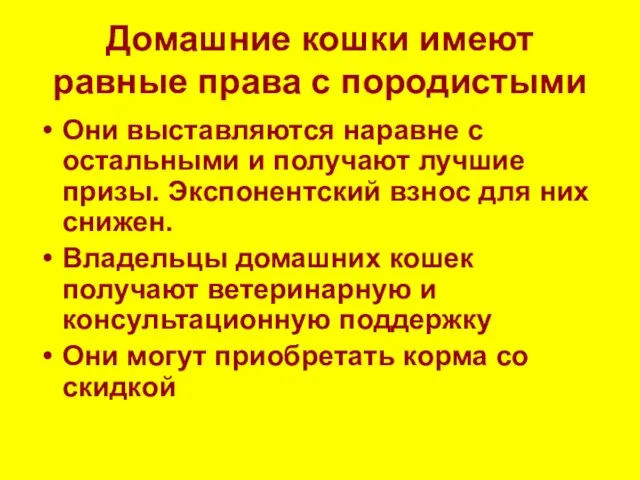 Домашние кошки имеют равные права с породистыми Они выставляются наравне с остальными