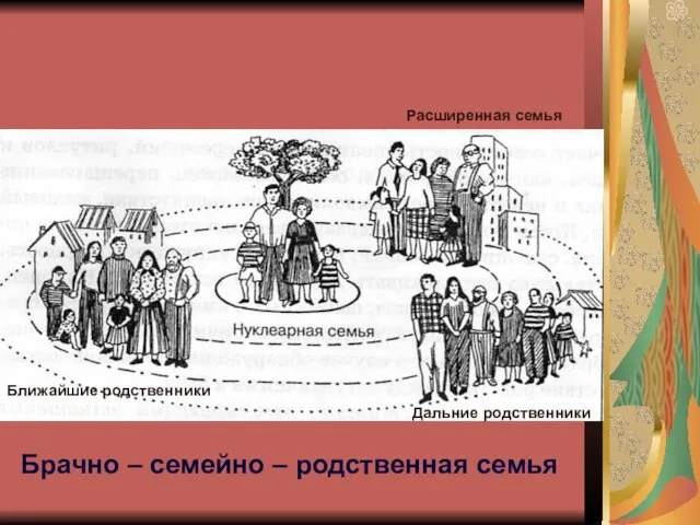 Расширенная семья Ближайшие родственники Дальние родственники Брачно – семейно – родственная семья