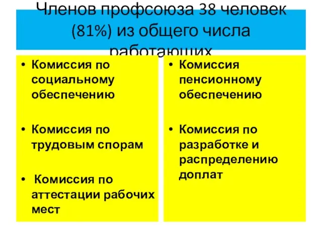 Членов профсоюза 38 человек (81%) из общего числа работающих Комиссия по социальному