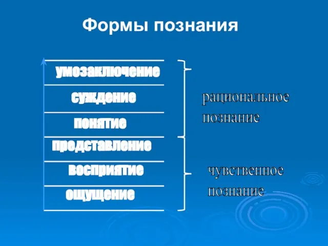 Формы познания умозаключение суждение понятие представление восприятие ощущение чувственное познание рациональное познание