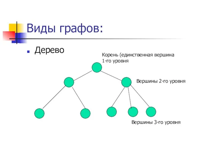 Виды графов: Дерево Корень (единственная вершина 1-го уровня Вершины 2-го уровня Вершины 3-го уровня