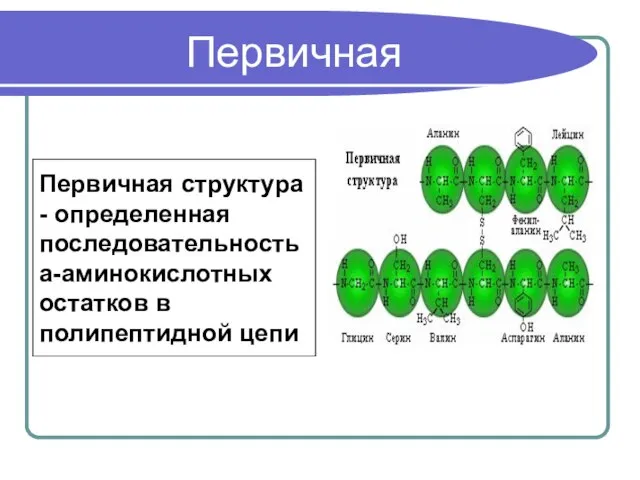 Первичная