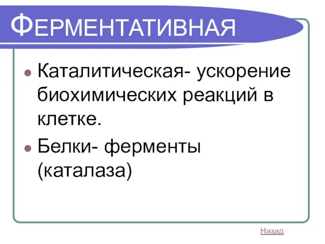 ФЕРМЕНТАТИВНАЯ Каталитическая- ускорение биохимических реакций в клетке. Белки- ферменты (каталаза) Назад