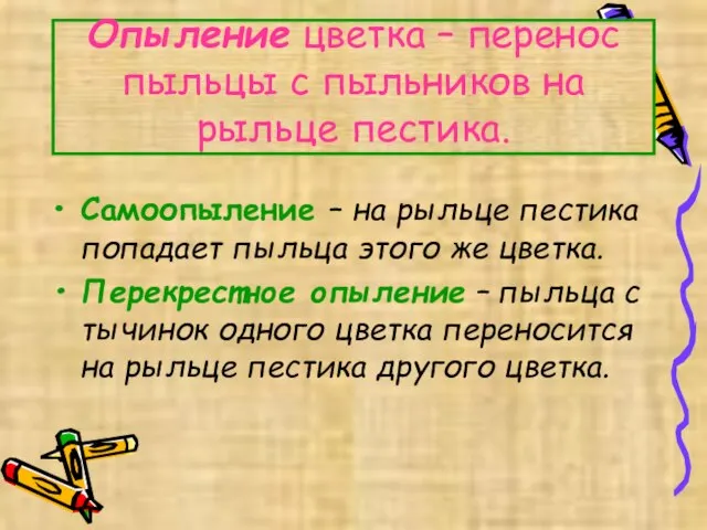 Опыление цветка – перенос пыльцы с пыльников на рыльце пестика. Самоопыление –